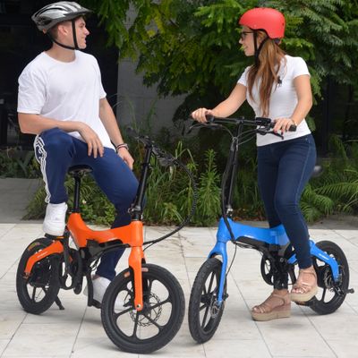 Bestseller Magnesium Electric Folding Bike for City Riders, classic and unique design