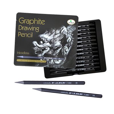 Wholesale Professional 12 Pcs Set Drawing Pencil Charcoal Pencil Woodless Graphite Pencil For Sketch