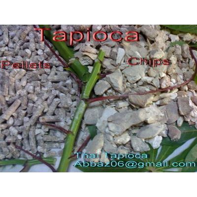 Thai Tapioca Pellets 65% (ANIMAL FEED GRADE)