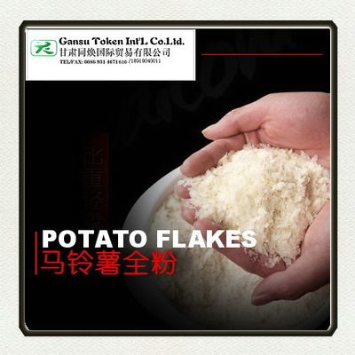 Instant Potato Flakes/mashed Potato - GANSU TOKEN INTERNATIONAL TRADING ...