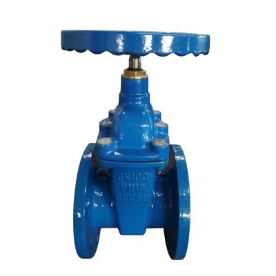 DIN non-rising stem resilient seatd gate valve from China