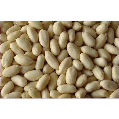 Blanched peanut kernels, blanched peanut from china