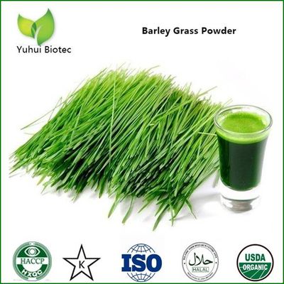 barley grass powder,organic barley grass powder