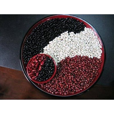 New Crop White Kidney Beans/Red beans/Black beans/Haricot