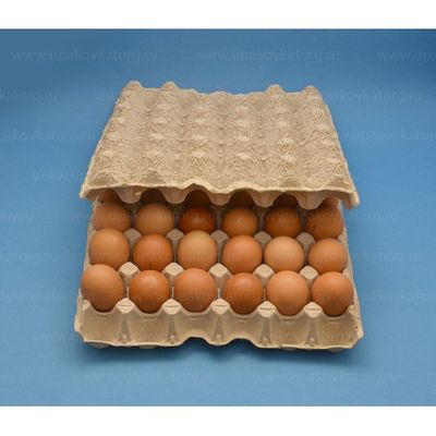 waterproof paper egg tray