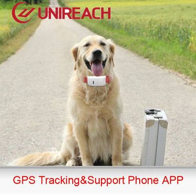 GPS tracker for your pet friend