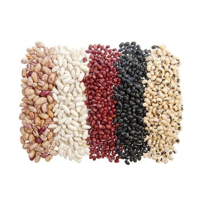 Kidney Beans , We Have White, Red,Black and Others for Sale