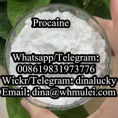 China Supplier Sell 99.9% Purity Powder Form CAS 59-46-1 Procainee With Safety Delivery to USA