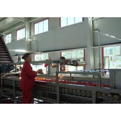 Tomato paste processing Plant, tomato plant, tomato processing machine, Low price-high quality, frui