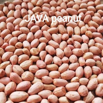 Good Quality Java-Peanuts and TJ-Peanuts or Groundnuts from Vietnam