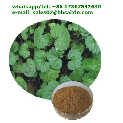 Pure Gotu kola extract, centella asiatica powder, Asiatic acid,cas 34540-22-2