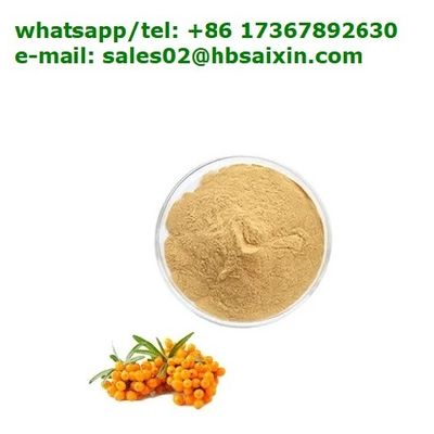 Hot sale of fruit powder Seabuckthorn Extract