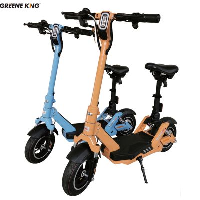 electric scooter for adult