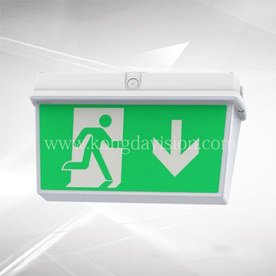 Durable Polycarbonate Emergency Exit Box with IP65 Protection and 3-Hour Emergency Operation