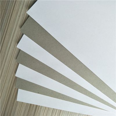 Cardboard Paper Manufacturer Coated Duplex Board Grey Back