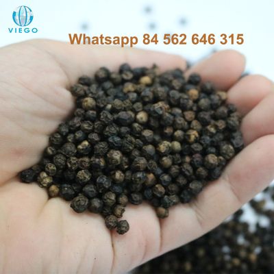 Vietnam Black Pepper - Viego Global - Whatsapp +84 562 646 315
