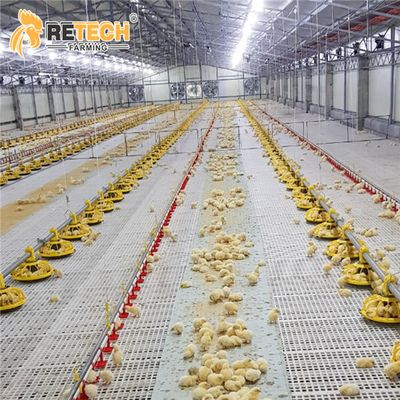 Commercial broiler farm poultry floor raising system in Russia