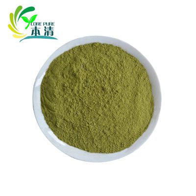 Supply 100% natural wheat grass powder for health care product