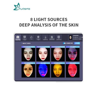 Portable Magic Mirror 3D Facial Skin Analyzer Machine SA6
