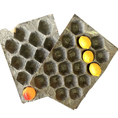 Durable Paper Pulp Mould Custom Fruit Insert Liner Tray