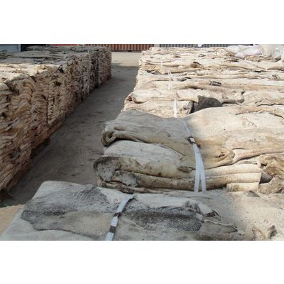 DRY / WET SALTED DONKEY HIDE
