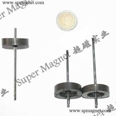  AIR 30x8mm  Multipole ring injection magnets 8 poles