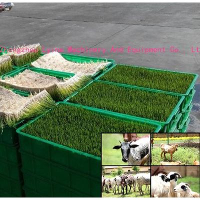 Hydroponic fodder good quality barley grass growing machine