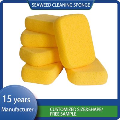 customized Cleaning Foam Car Ceramic Coating Janitorial Supplies Scrub Household Products Sponge