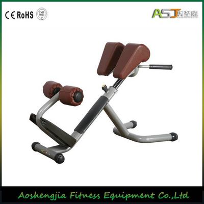 A035 Roman Chair Fitness Gym Equipment