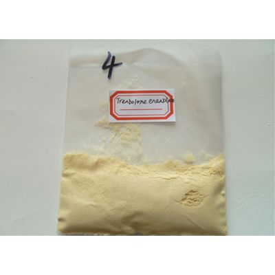 TRE Trenbolone Enanthate powder Trenbolone Steroids 99% muscle growth CAS 472-61-546