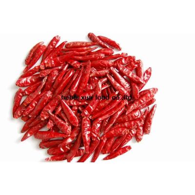 Small Hot Chilli - Hebei Xuri Food Co.,ltd.