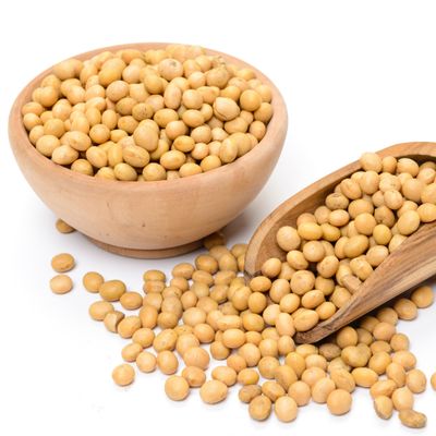 Organic Raw Non-GMO and GMO Soybeans
