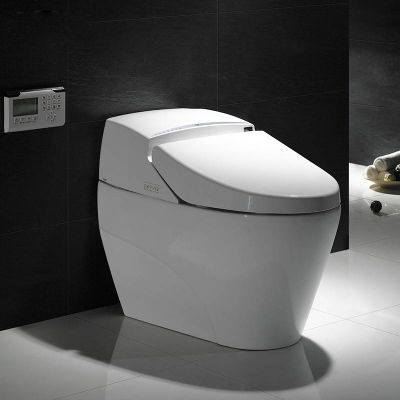 procelain bathroom smart toilet with electronic bidet toilet seat