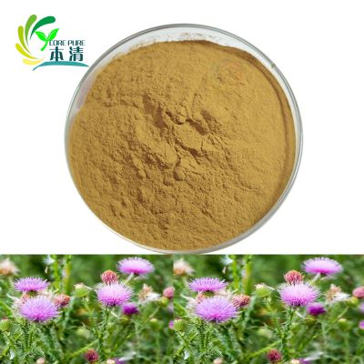 Manufacturer supply milk thistle extract 80% silymarin for protecting liver