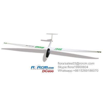 DG600 slope scale glider of rcrcm