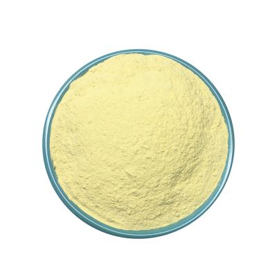 Plant Extracts Mango Powder Fast Delivery