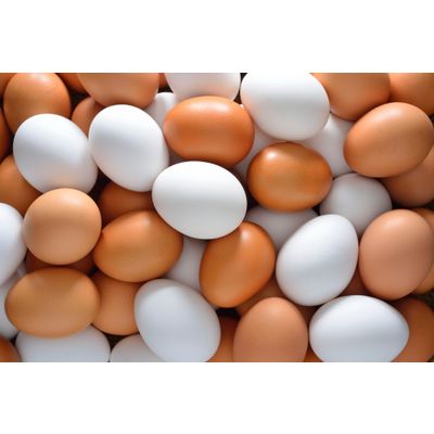 White and Brown Chicken Eggs, Fresh Table Eggs,Parrot eggs