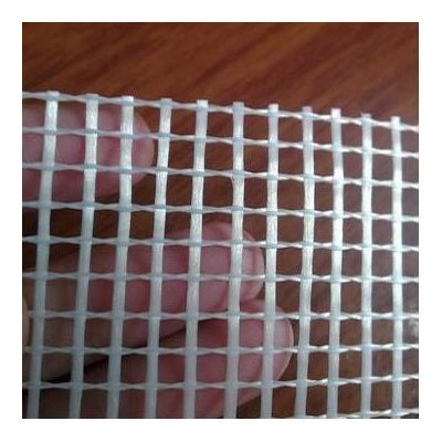 glass fiber mesh (TIANRUI)