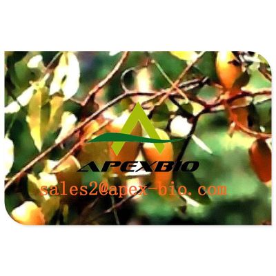 supply best quality Griffonia Seeds Extract 50.0%~98.0% 5-HTP