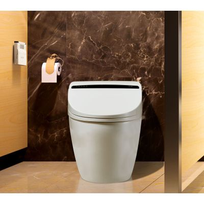 HM800 Elite Washdown automatic cleaning Smart lavatory nightstool with floor mounted