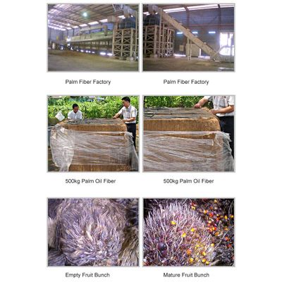 Palm Fiber - Prima Everest Pte Ltd