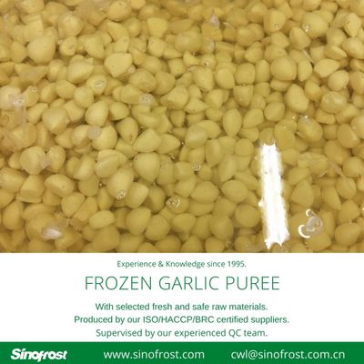 China BQF Frozen Garlic Puree Cube Manufacturer and Supplier