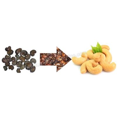 Automatic Cashew Nut Processing Unit