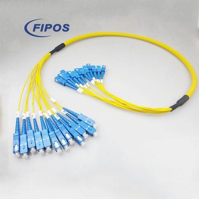 12 Cores Breakout Fiber Optic Patch Cord
