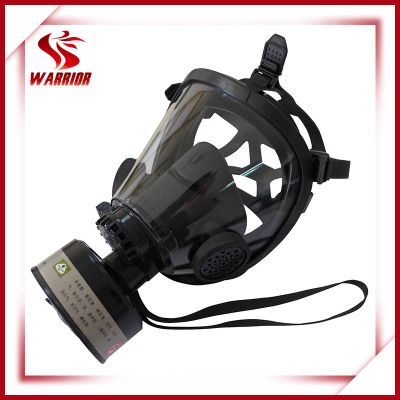 Full face protection gas mask with filter