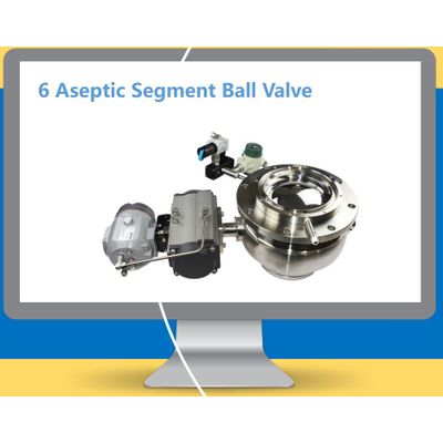 Aspetic Segment Ball Valve (SBV)