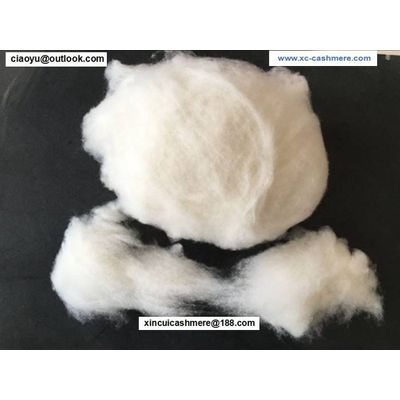 Dehaired Chinese white cashmere fiber
