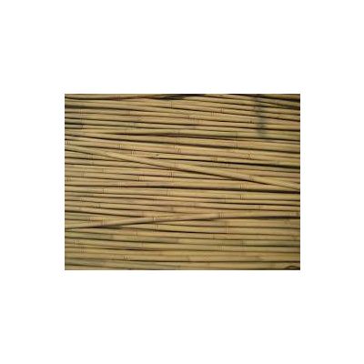 bamboo tonkin