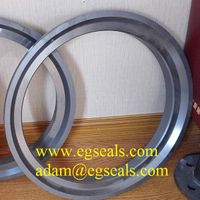 Large silicon carbide seal rings thumbnail image