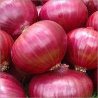 Red Onions for sale thumbnail image